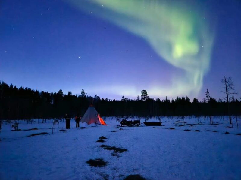 ivalo-northern-lights-and-reindeer-farm-experience