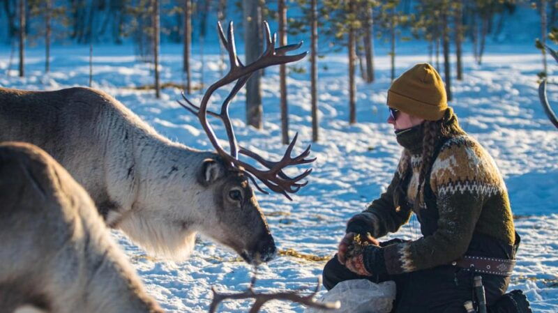ivalo-northern-lights-and-reindeer-farm-experience