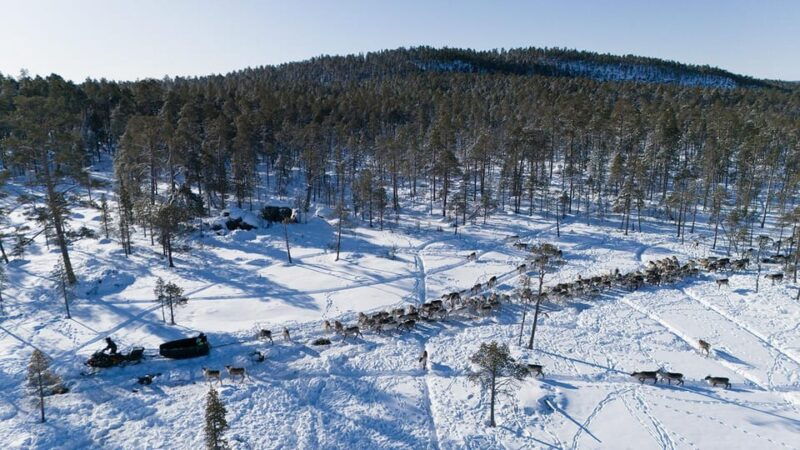 ivalo-reindeer-herders-and-winter-fishing-with-lunch