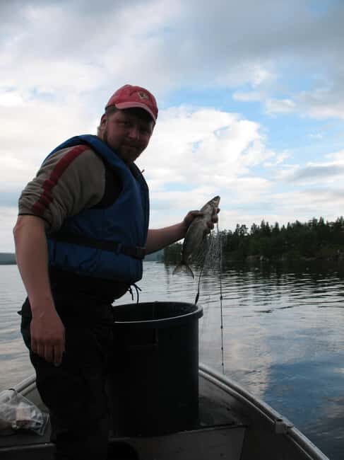 Ivalo: Summer Day/Evening on a Lake in the Wild - Ivalo: Summer Day/Evening on a Lake in the Wild — Honest Review