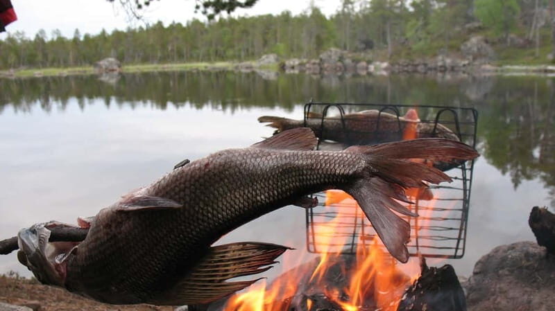 Ivalo: Summer Evening on a Lake in the Wild - Authentic Experiences and Customer Insights