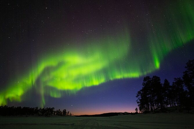 ivalo-wilderness-adventure-by-snowmobile-sleigh