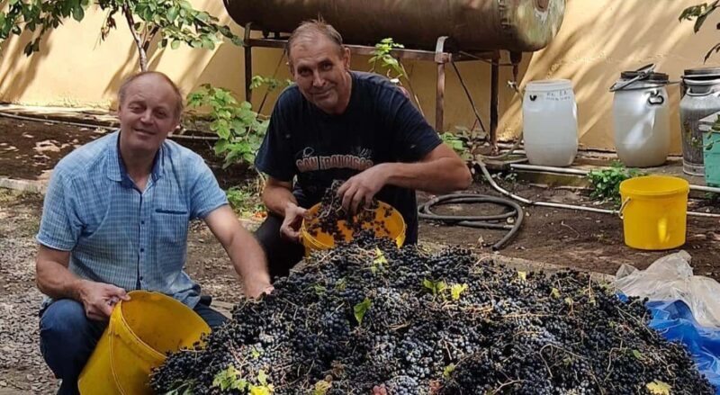 Ivanovka Homemade Wine tour with Local lunch - Why This Tour Might Be Perfect for You