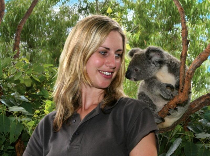 iVenture Sydney Attractions Flexi Pass - The Attractions and Experiences