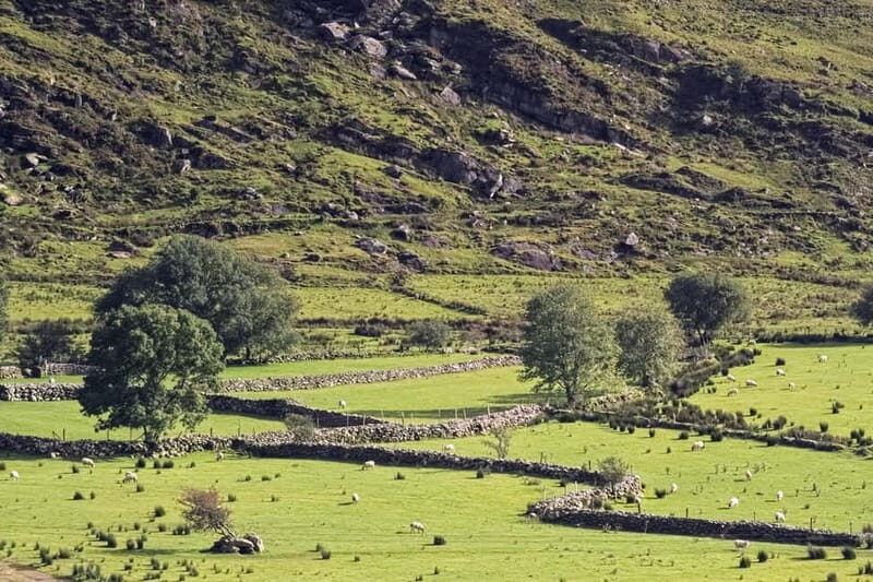 Iveragh Peninsula: Ring of Kerry Photo and Sightseeing Tour - The Bottom Line
