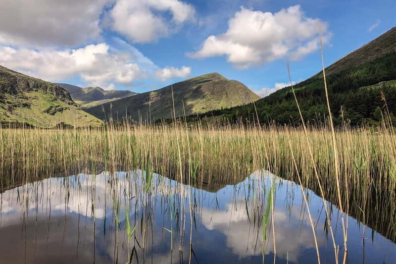 Iveragh Peninsula: Ring of Kerry Photo and Sightseeing Tour - Who Should Book This Tour?