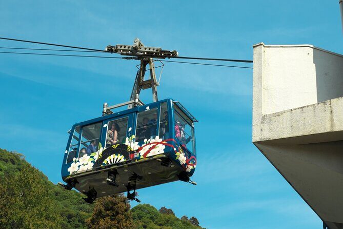 Iwakuni Day Trip from Hiroshima: Private Car to Kintaikyo Bridge - The Sum Up