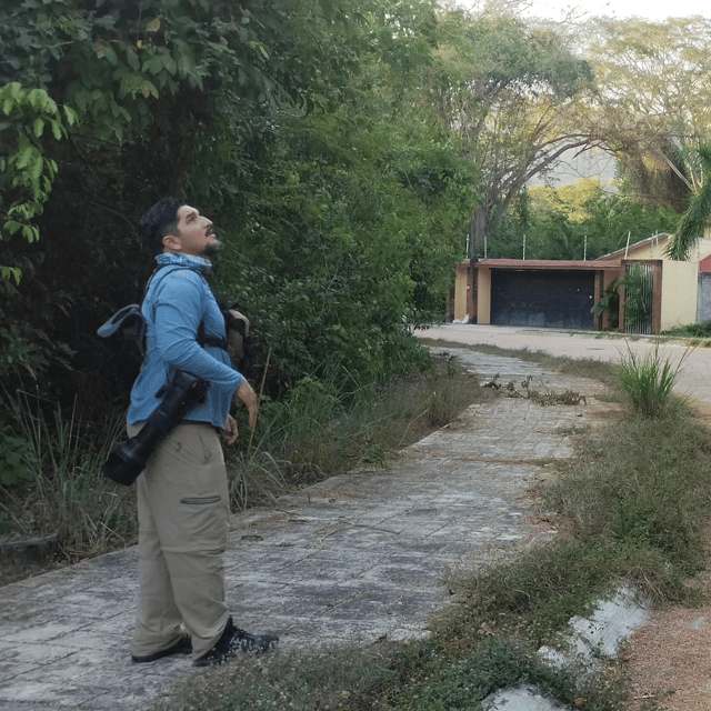 ixtapa-bird-watching-tour-with-round-trip-transportation