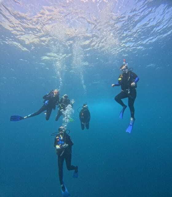 Ixtapa: Discover Diver Course - The Practicalities and Value