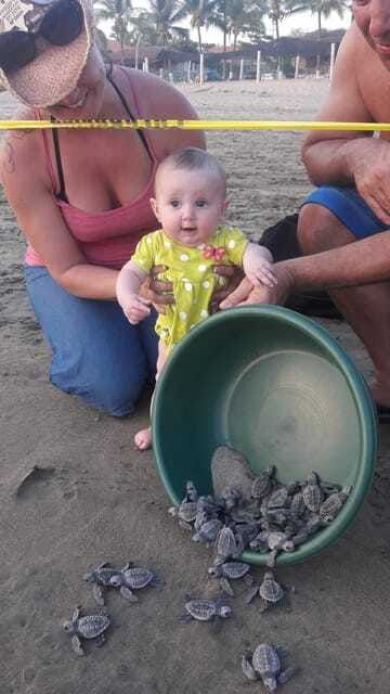 ixtapa-zihuatanejo-turtle-release-tour