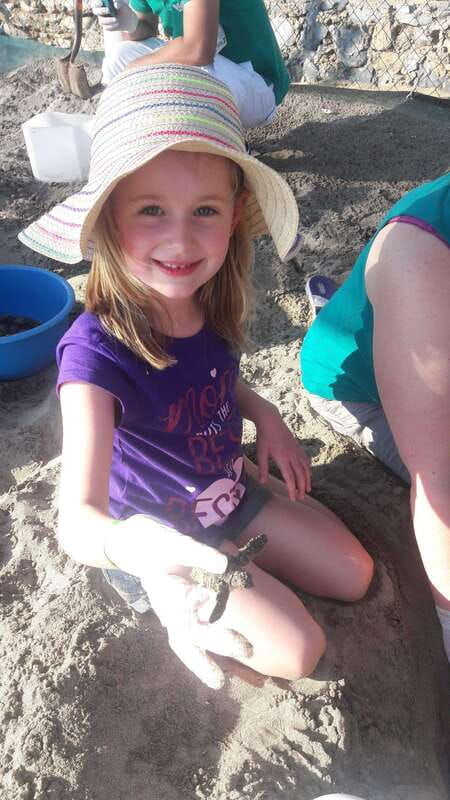 ixtapa-zihuatanejo-turtle-release-tour