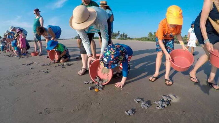 ixtapa-zihuatanejo-turtle-release-tour