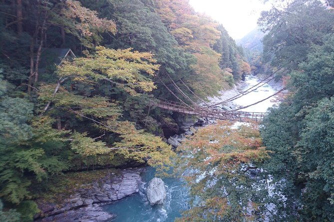 iya-valley-brompton-slow-cycling-tour