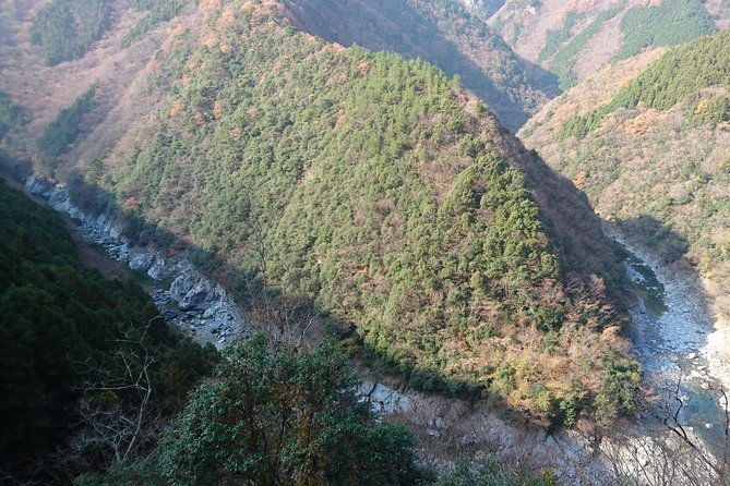 iya-valley-brompton-slow-cycling-tour