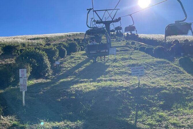 Izu Day Trip: Omuroyama & Coast 9-Guest Small Group - Who Is This Tour Best For?