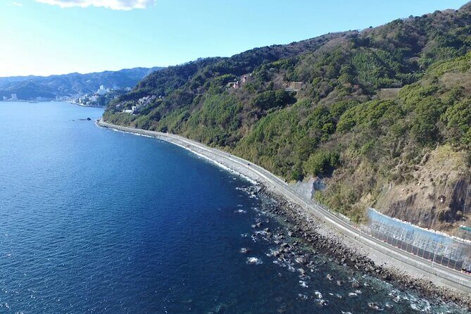 Izu Mount Omuro Day Tour: Atami Beach Line,Ropeway,Jogasaki Coast - A Closer Look at the Itinerary