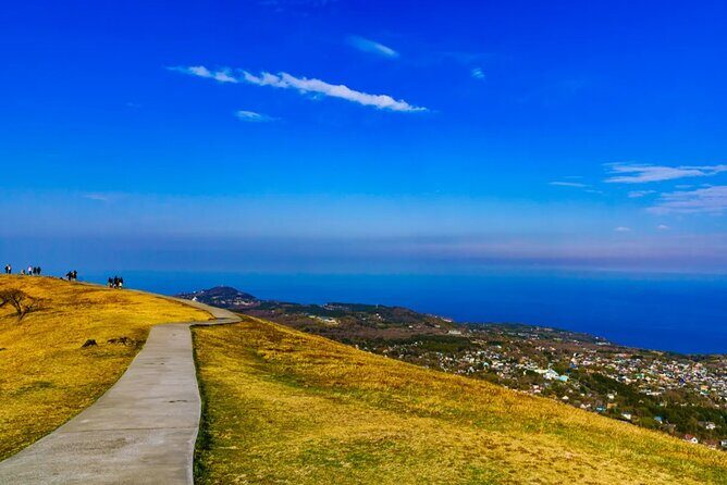 Izu Mount Omuro Day Tour: Atami Beach Line,Ropeway,Jogasaki Coast - Final Thoughts: Who Is This Tour For?