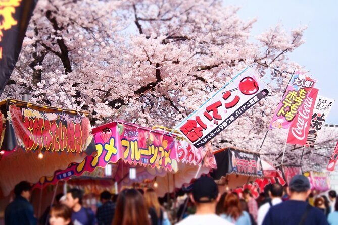 Izu Ocean View Train & Kawazu Cherry Blossom Festival Tour - Final Thoughts