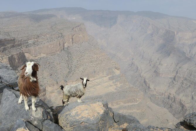 Jabal Shams (Grand Canyon) Tour - Key Points