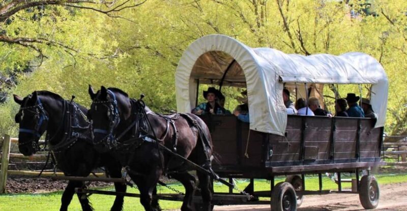Jackson: Chuck Wagon Cookout and Live Show - Practical Details and Tips