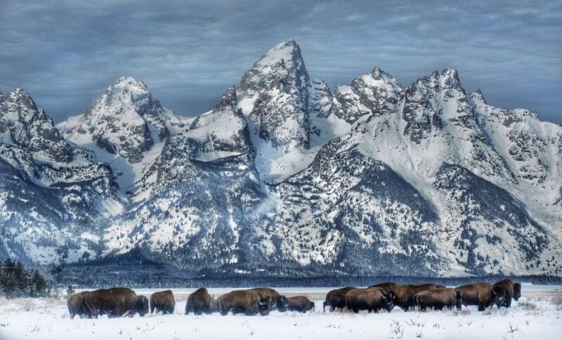 jackson-grand-teton-and-national-elk-refuge-winter-day-trip
