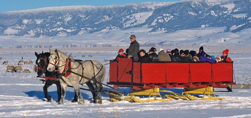 jackson-grand-teton-and-national-elk-refuge-winter-day-trip