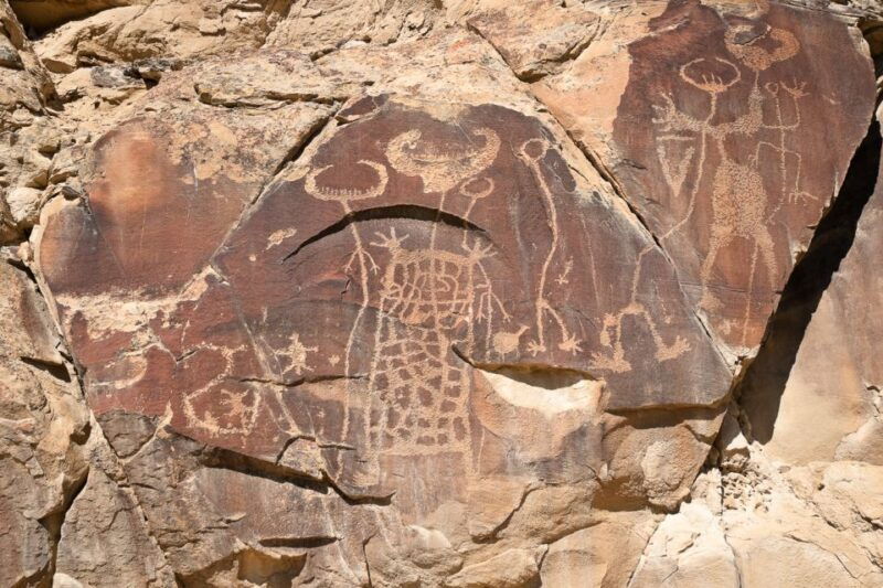 jackson-grand-teton-bighorn-sheep-and-petroglyphs-tour