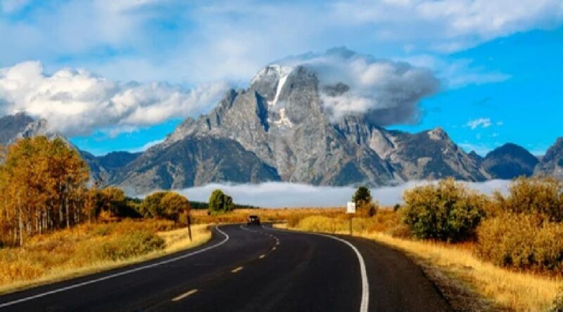 Jackson: Grand Teton National Park Guided Wildlife Tour - The Sum Up