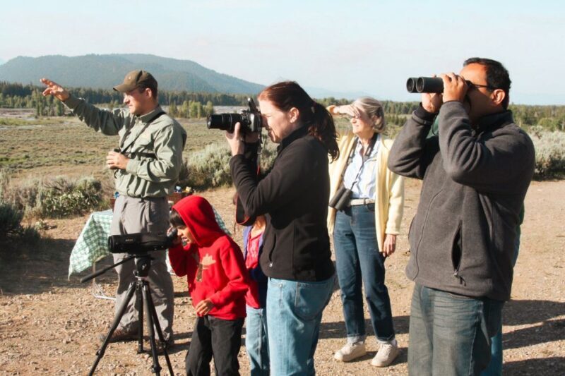 Jackson: Grand Teton National Park Guided Wildlife Tour - Frequently Asked Questions