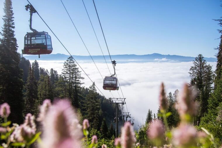 jackson-hole-aerial-tram-and-gondolas-admission-ticket