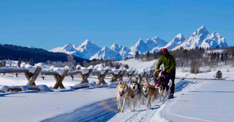 jackson-hole-dogsledding-tour-with-hot-chocolate