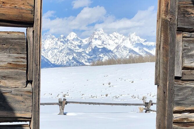 jackson-hole-grand-teton-park-full-day-wildlife-tour