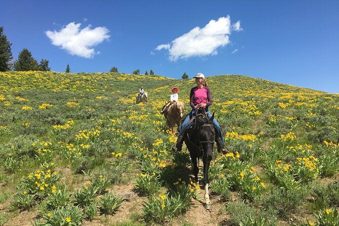 jackson-hole-horseback-riding-in-bridger-teton-national-forest