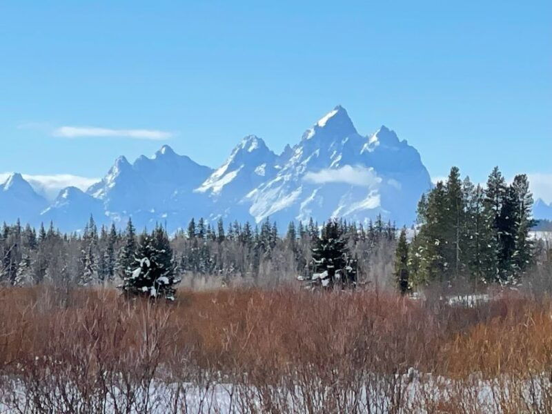 jackson-hole-turpin-meadow-snowmobile-tour