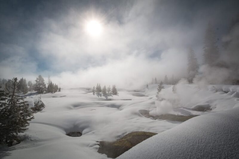 Jackson: Yellowstone Snowcoach Tour to Old Faithful - Who Would Love This Tour?