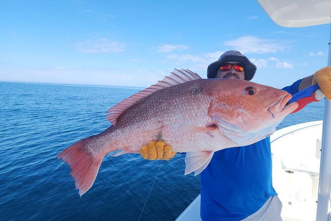 jacksonville-private-boat-tour-daytime-or-sunset-up-to-6-people-2