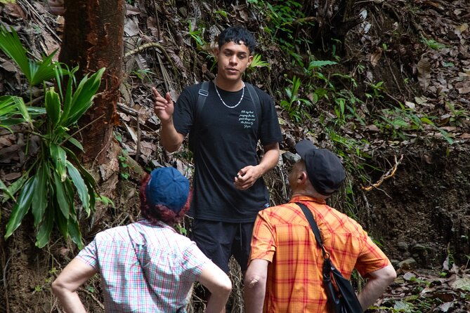 jaco-beach-10-hidden-waterfalls-guided-experience