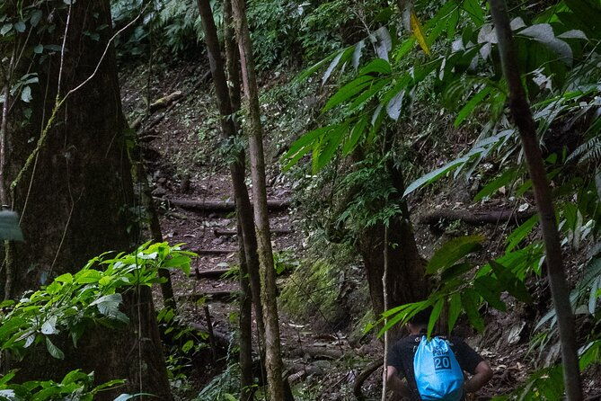 jaco-beach-10-hidden-waterfalls-guided-experience