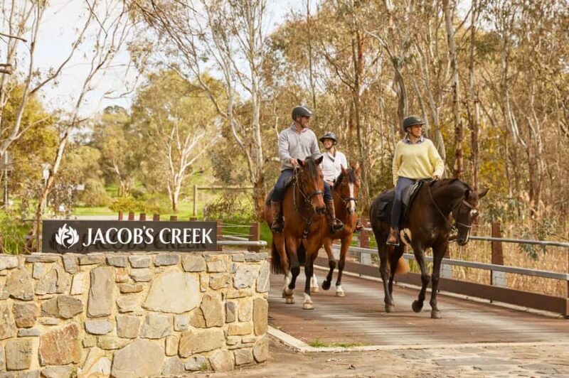 Jacobs Creek Vineyard Horse Ride and Tasting - Key Points