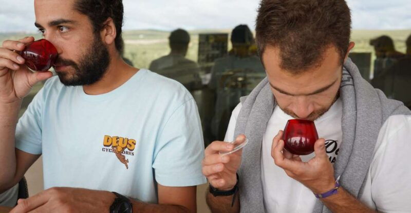 jaen-aires-de-jaen-olive-oil-tasting-class