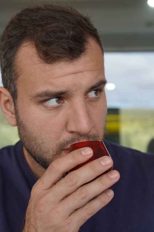 jaen-aires-de-jaen-olive-oil-tasting-class