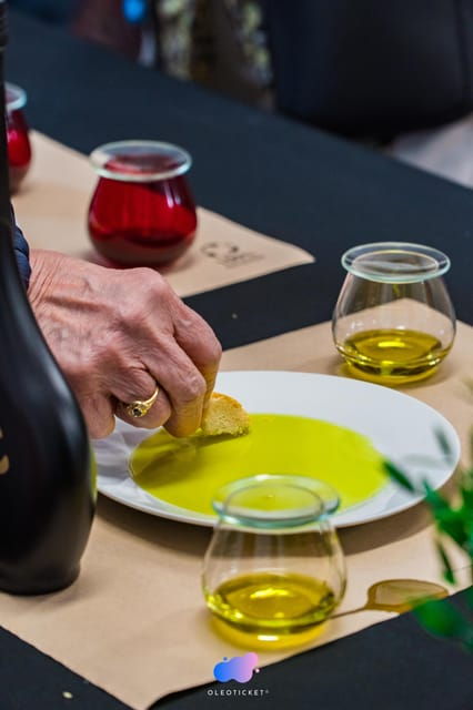 jaen-guided-olive-mill-tour-with-olive-oil-tasting