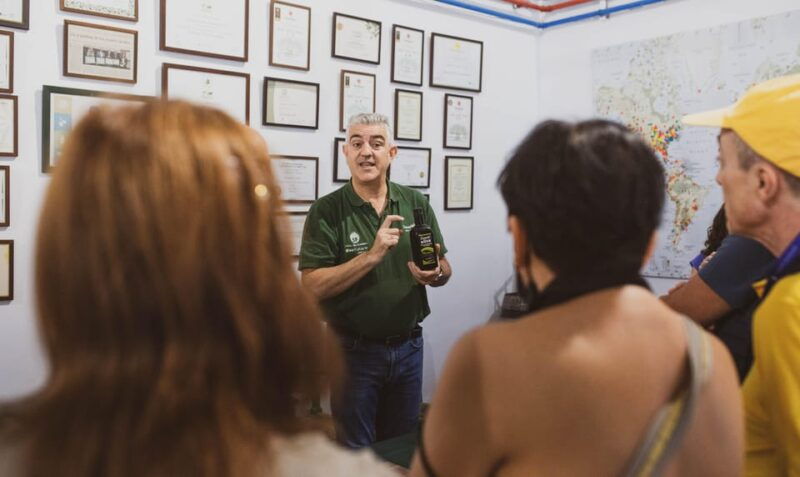 jaen-guided-olive-mill-tour-with-olive-oil-tasting
