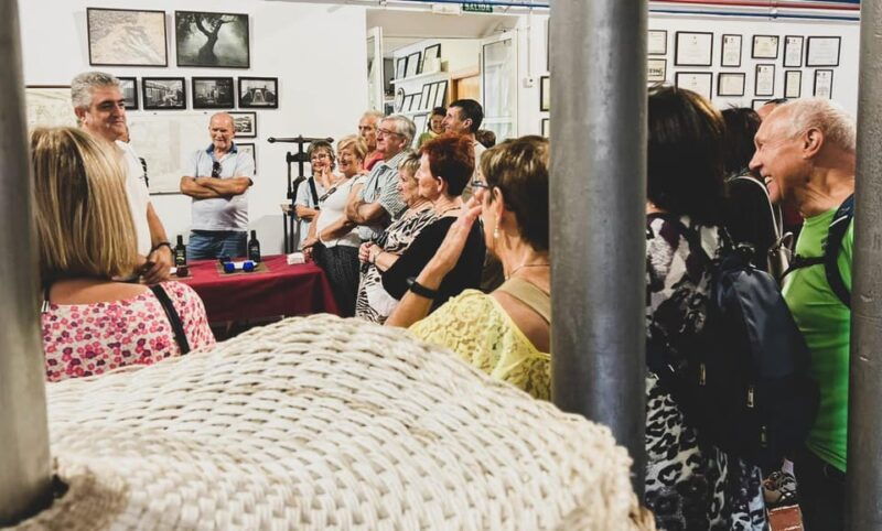 jaen-guided-olive-mill-tour-with-olive-oil-tasting