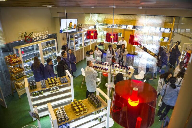 jaen-olive-mill-tour-and-olive-oil-tasting-experience