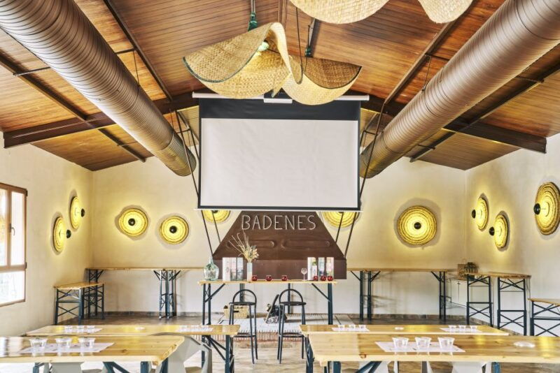 jaen-olive-oil-tour-with-the-5-senses-grove-and-tasting