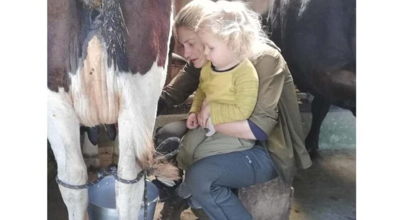 Jaffna: Cow Milking and Dairy Farm Experience - FAQs