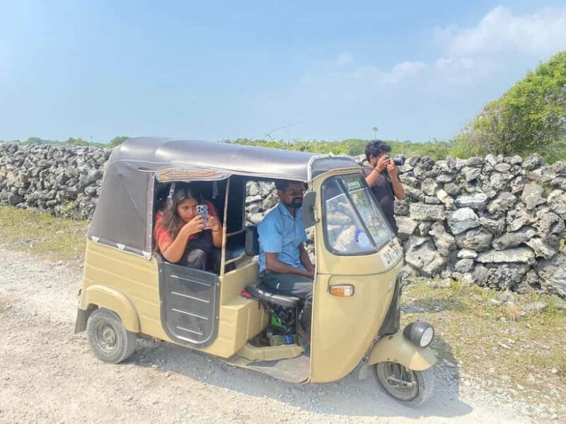 Jaffna: Delft and Nainativu Island Tour with Local Guide - What You Can Expect from This Full-Day Tour