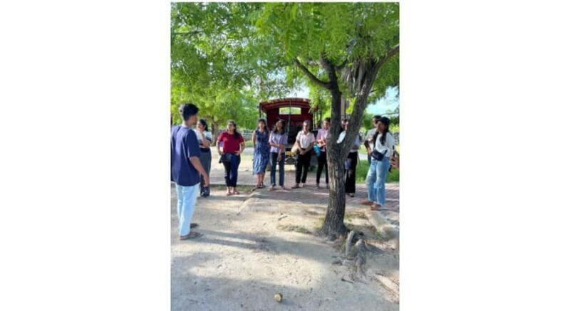 Jaffna: Delft Island Overnight Tour with Tamil Village Stay - Exploring Delft Island: What to Expect