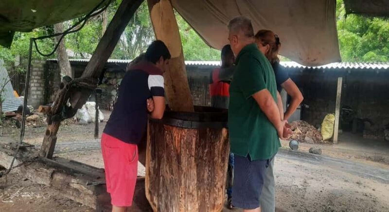 Jaffna Traditional Sesame Oil Extraction Experience - An In-Depth Look at the Jaffna Sesame Oil Tour